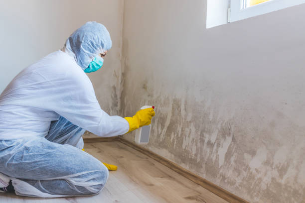 Crawl Space Mold Remediation treatment of floor joists in Barton